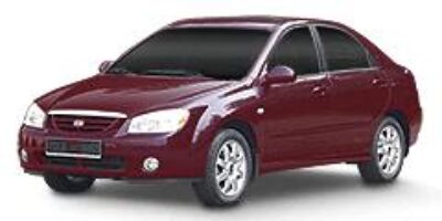 Cerato - Category Image